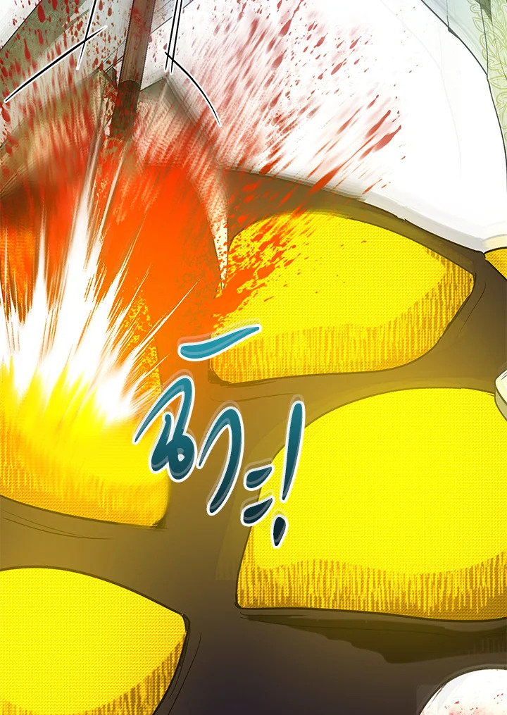 The Way to Protect the Female Lead’s Older Brother 15 75